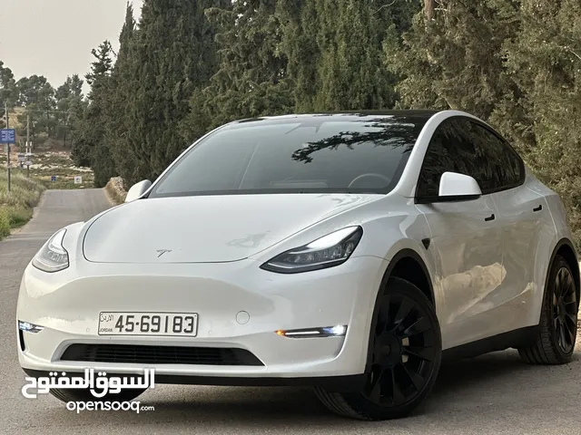 New Tesla Model Y in Amman