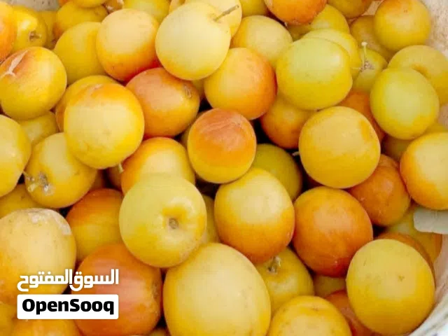 نبك تفاخي خشن بصراوي من المزرعه راسلني احويلك البصره كرمه علي التواصل اتصال