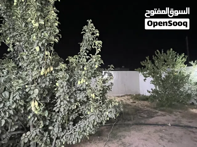 2 Bedrooms Farms for Sale in Tripoli Wadi Al-Rabi