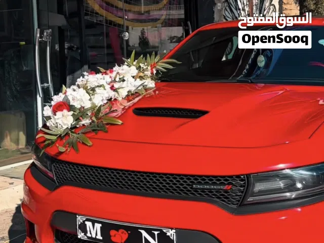 جارجر  طماطي ناري