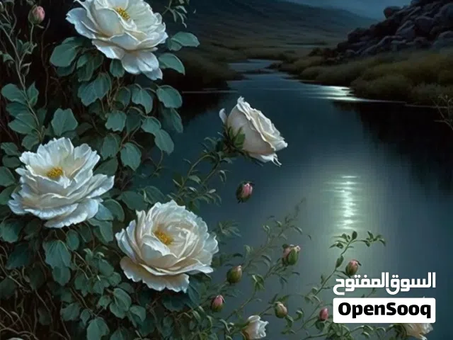 متاح شركة نظافة  ... وشركة مقاولات ايضا  ولا مشكله مع أي عقود عامه او خاصه