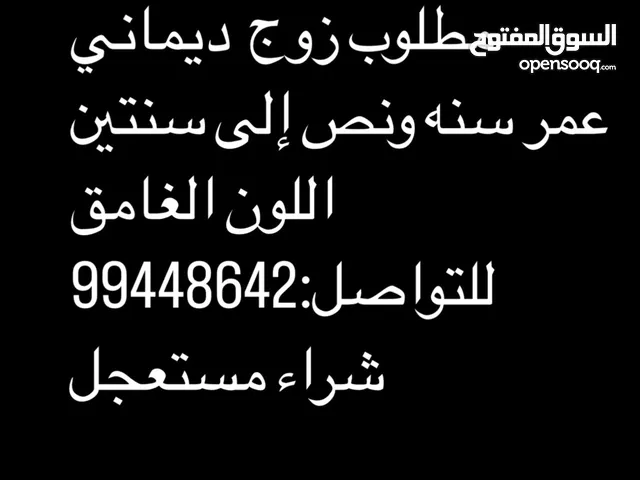 مطلوووببب غزلان زوج