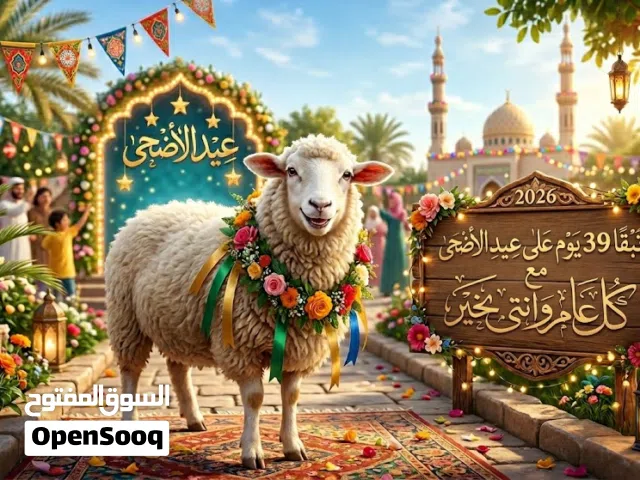 جزار متنقل لذبح الاضاحي