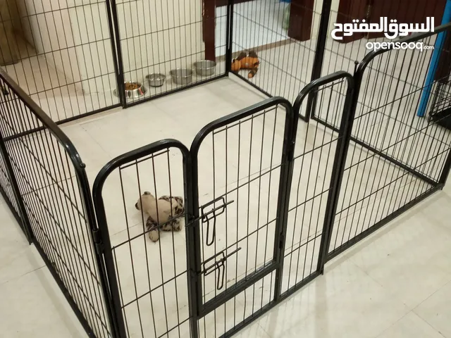 DOG CAGE WITH ACCESSORIES AND DRY FOOD BD 15 ARGENT SALE