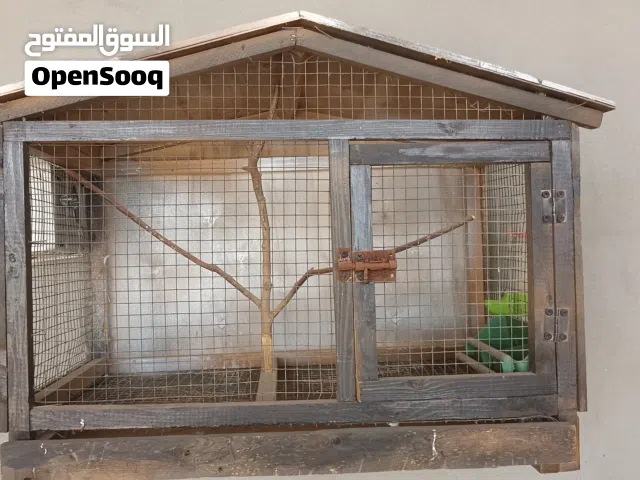 سزنة نظيفة ب ملحقاتها
