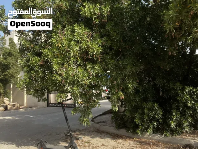 شاومي جيل 4