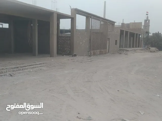 مواسسة الجمل