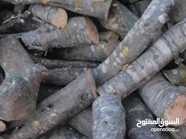 حطب زيتون ناشف