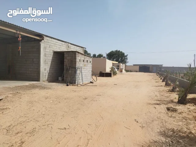 مزرعه صغيره معاها استراحتين
