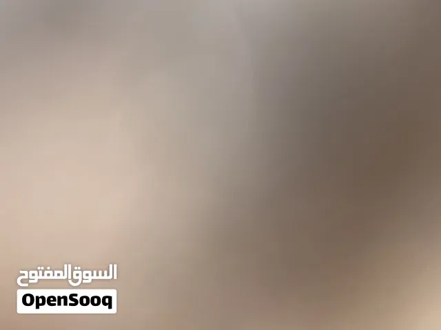 قلم ايباد ابل جيل الثاني