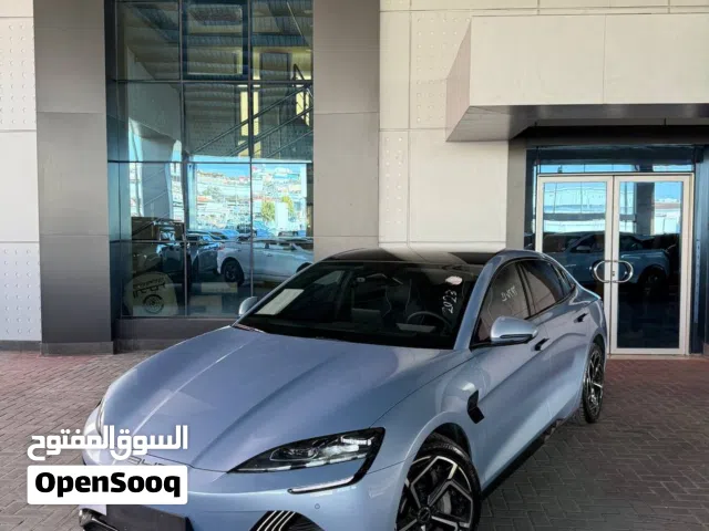 2023, بي واي دي, سيل