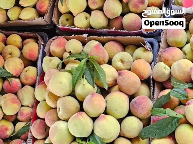 خوخ ممتاز على الشرط
