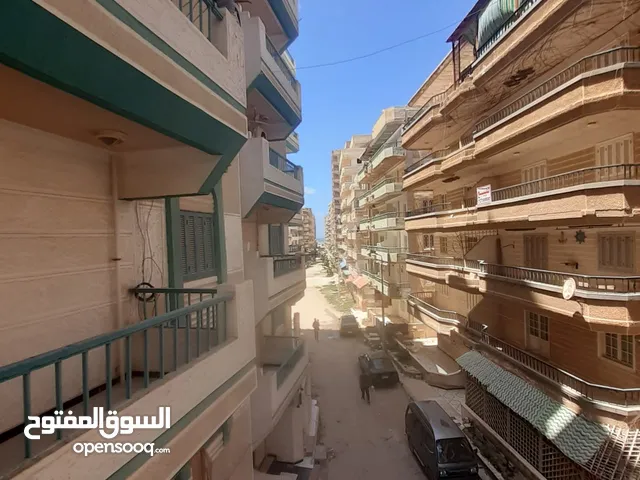 130 m2 3 Bedrooms Apartments for Sale in Alexandria Nakheel