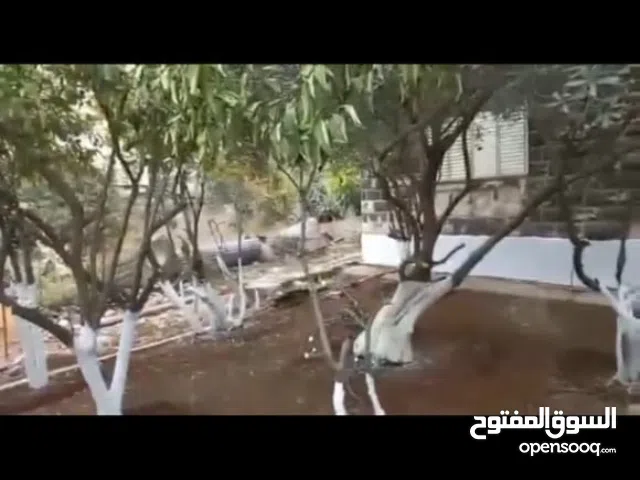 Mixed Use Land for Sale in Nablus Rafidia