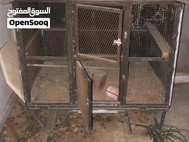 شيلة حديد ربي يبارك للبيع