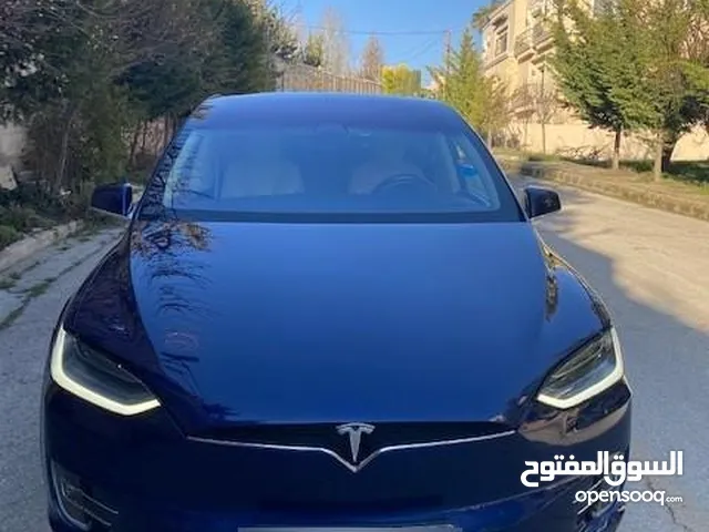 Tesla Model X 75D 2017