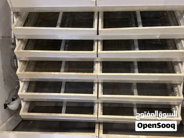 فقاسه ابو يوسف 1300 بيضة