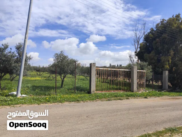 Residential Land for Sale in Amman Naour