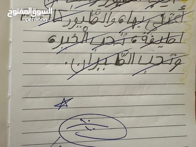 معلمة لغة عربية أكثر من ممتازة عن تجربة