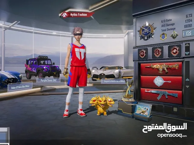 Pubg Accounts and Characters for Sale in Zarqa