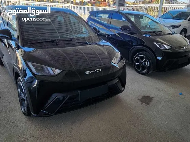byd Seguall 2023