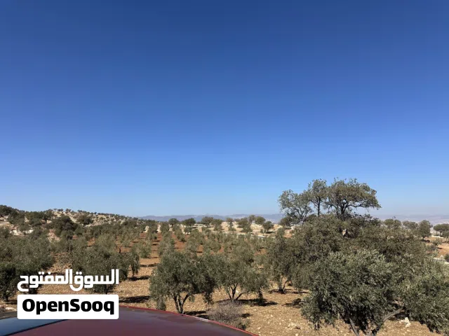 Farm Land for Sale in Zarqa Al-Alouk