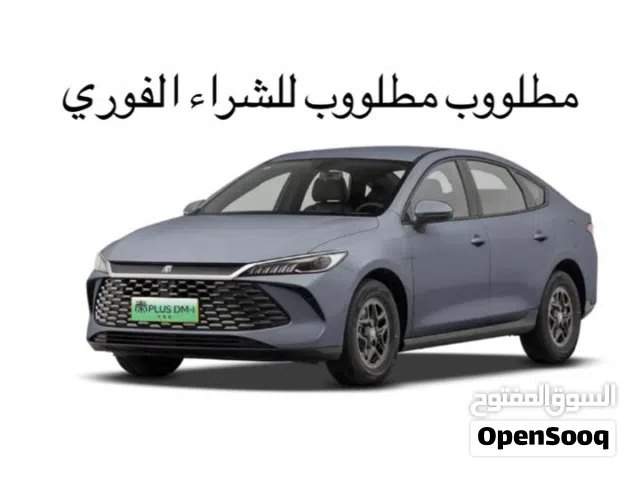 2025 بي واي دي كين