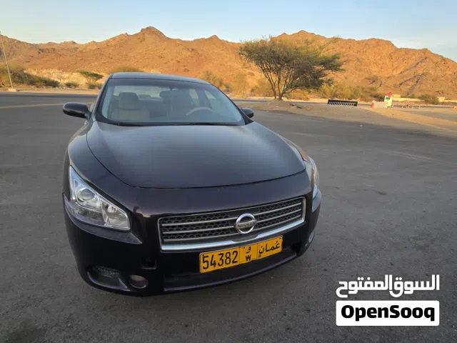 ماكسيما 2011 نظيف ومضمون