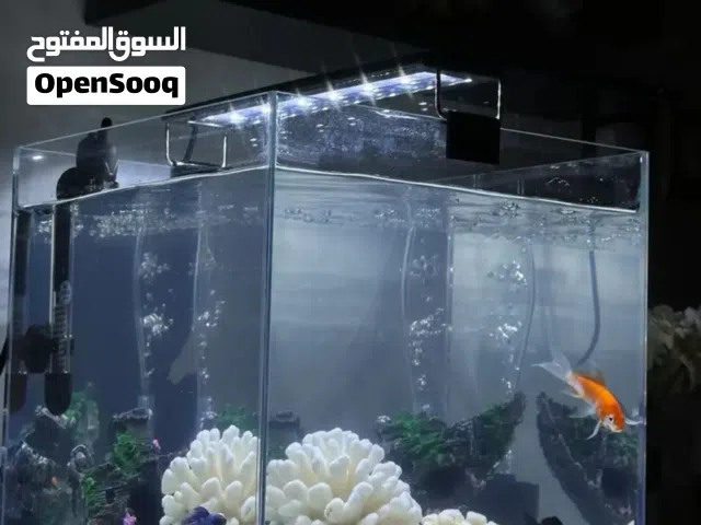 حوض سمك 30*30 نظيف + شبه جديد