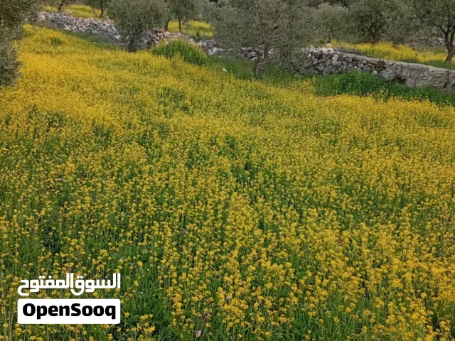 Farm Land for Sale in Salt Al Balqa'