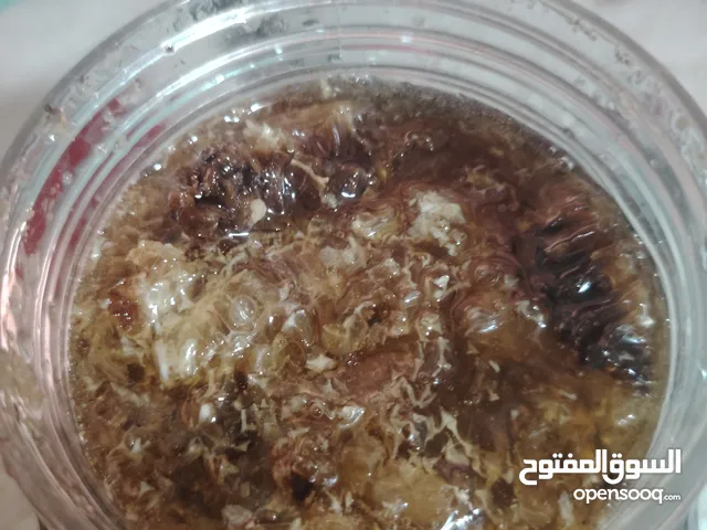 2 كيلو عسل مصري طبيعي مليون الميه