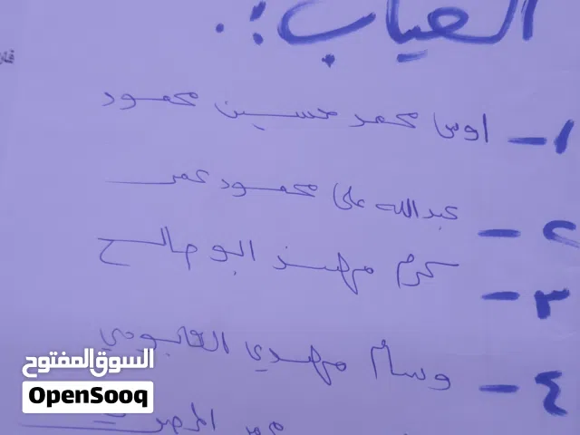 صيصان للبيع