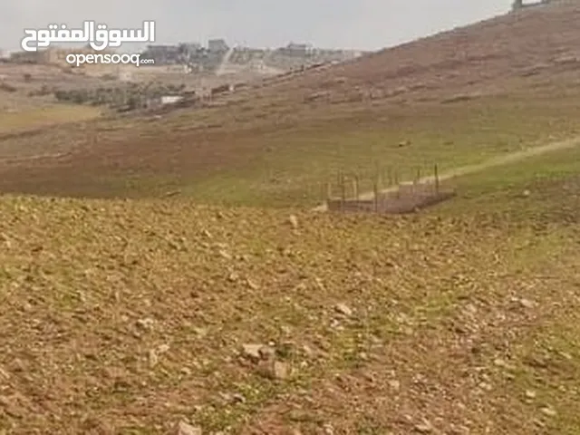Residential Land for Sale in Zarqa Graiba