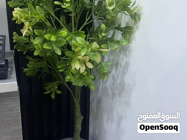 نبتة صناعية مع قوارها واحجار زينة