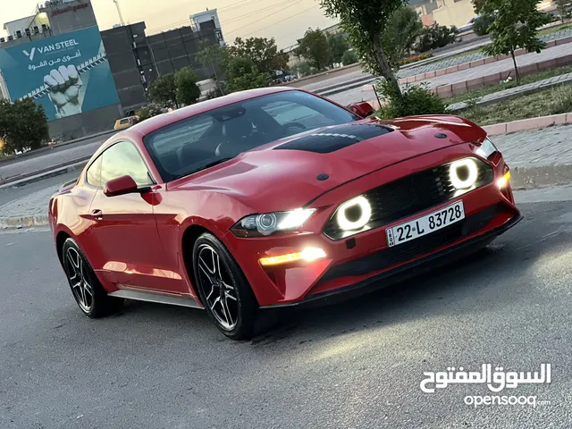New Ford Mustang in Baghdad