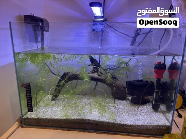 حوض اسماك 50 لتر