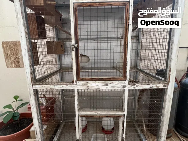 للبيع قفص طيور