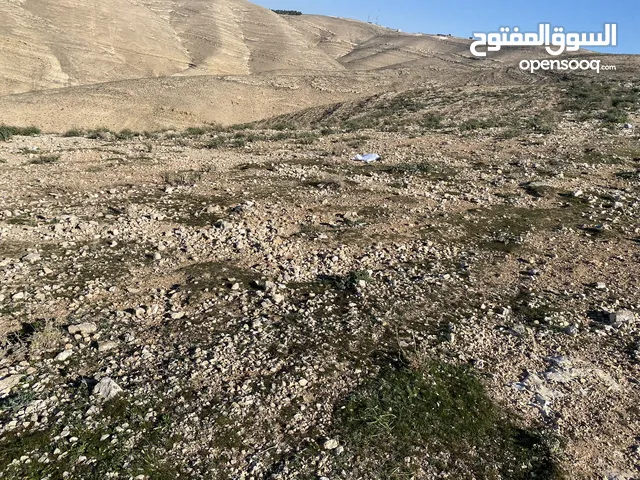 Farm Land for Sale in Madaba Al-Fayha'