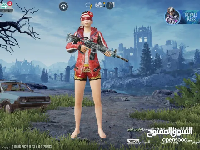 Pubg Accounts and Characters for Sale in Al Mithnab