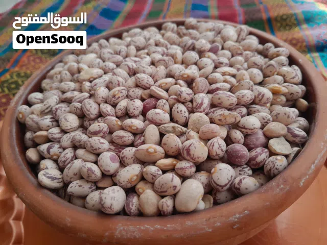 فاصوليا بينتو مجففةDried pinto beans