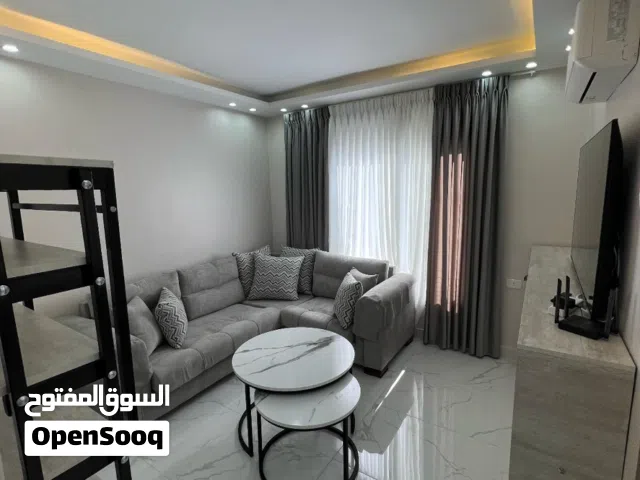 60 m2 1 Bedroom Apartments for Rent in Amman Al Rabiah
