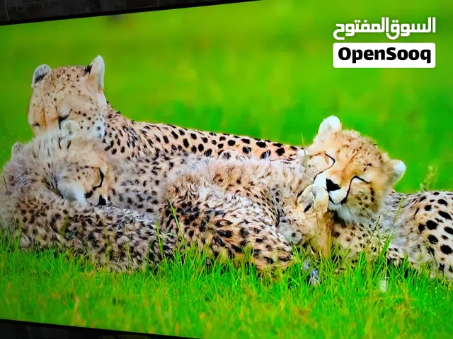 شاشه سامسونج 65 سمارت
