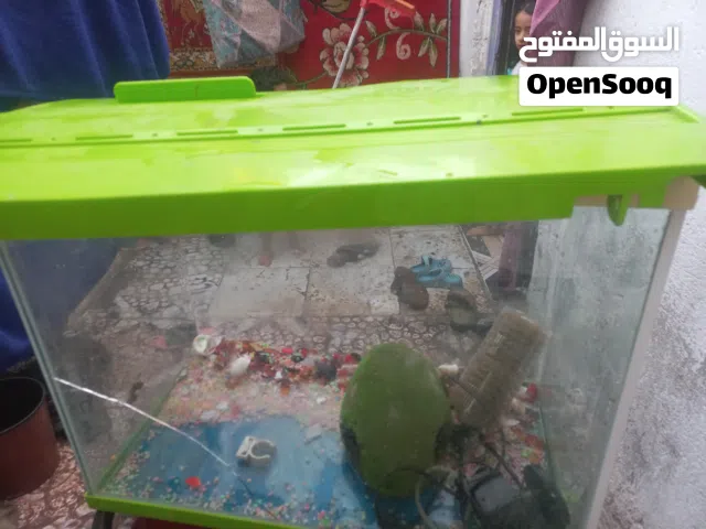 حوض سمك للبيع