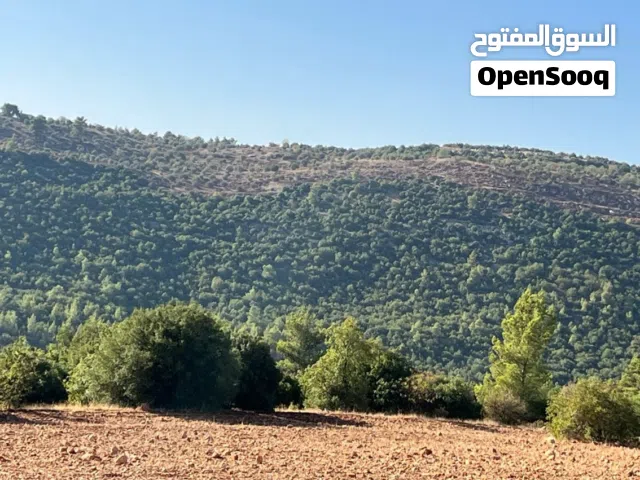 ارض مفروزه محاطة ب شاليهات و غابات