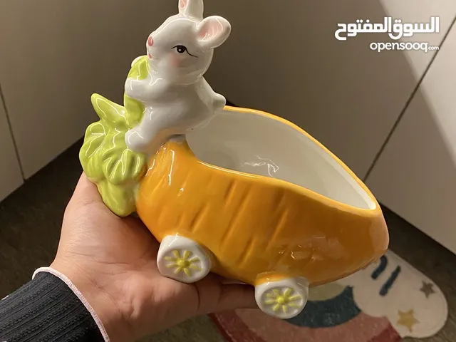 مقدمة الارنب