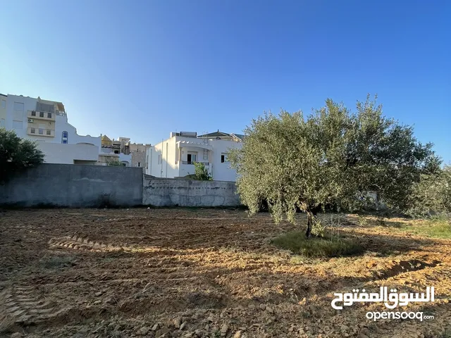 Terrain a vendre chott mariem