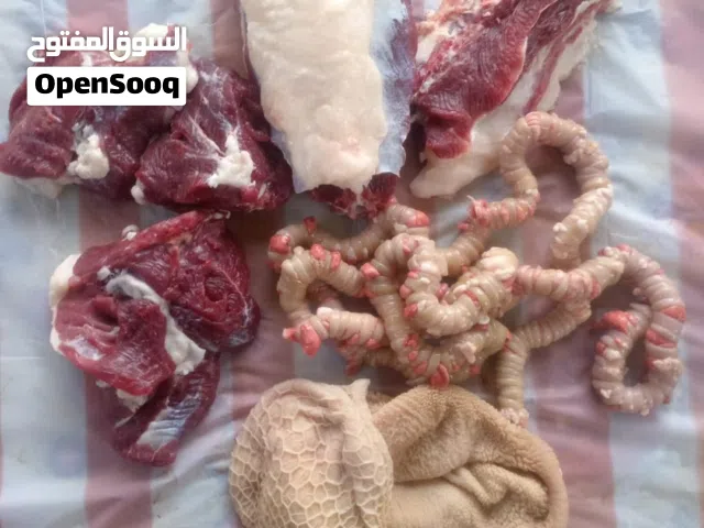 ملطوب ذبيحه عاجل من 60 الين 70 فلوسهاا شهر الجاي مايتواصل غير الي معه