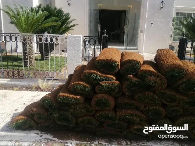 نجيل طبيعي m5 أمريكي اصلي