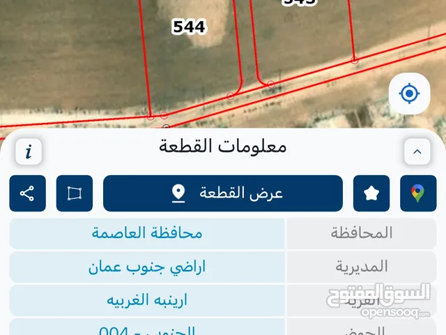 اراضي للبيع ارينبه الغربيه