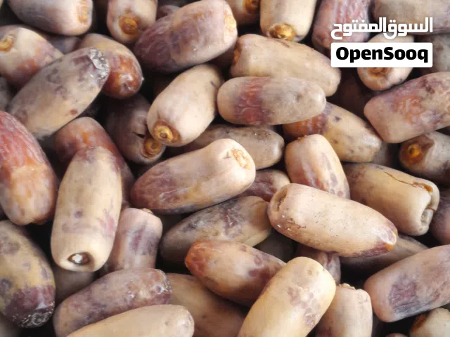 تمر نغال محقب(جريجرو) جديد جوده